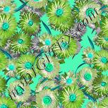 Colour:C