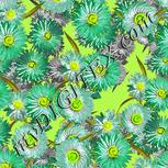 Colour:D
