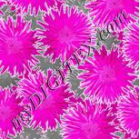 Colour:B