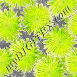 Colour:D