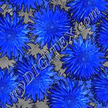 Colour:F