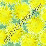 Colour:K