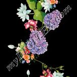 Colour:A