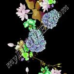 Colour:D