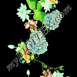 Colour:K