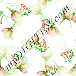 Colour:K
