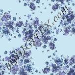 Colour:F