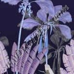 Colour:F