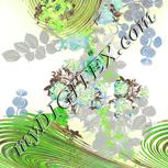 Colour:D