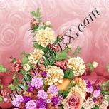 Colour:A