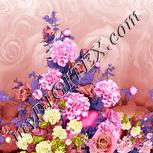 Colour:B