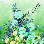 Colour:C