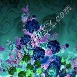 Colour:F