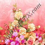 Colour:J