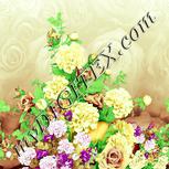 Colour:K