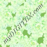 Colour:K