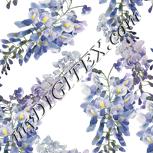 Colour:A