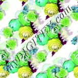 Colour:D