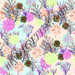 Colour:B