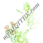 Colour:K