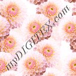 Colour:J