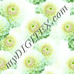 Colour:K