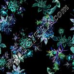 Colour:F