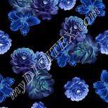 Colour:F