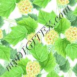 Colour:K