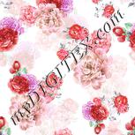 Colour:B
