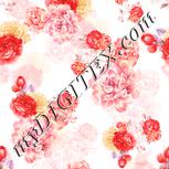 Colour:J