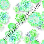 Colour:C