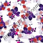Colour:B