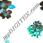 Colour:F