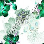 Colour:F