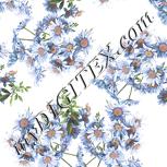 Colour:A