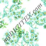 Colour:K