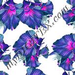 Colour:B