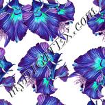 Colour:C