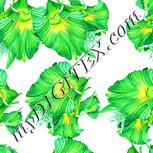 Colour:K
