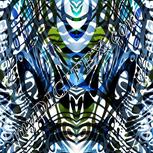 Colour:F