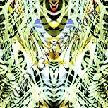 Colour:K