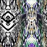 Colour:F