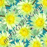 Colour:K