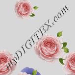 Colour:A