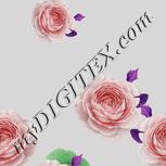 Colour:B