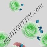 Colour:C