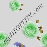 Colour:D