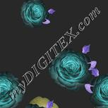 Colour:F