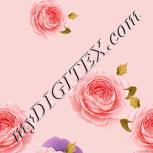 Colour:J